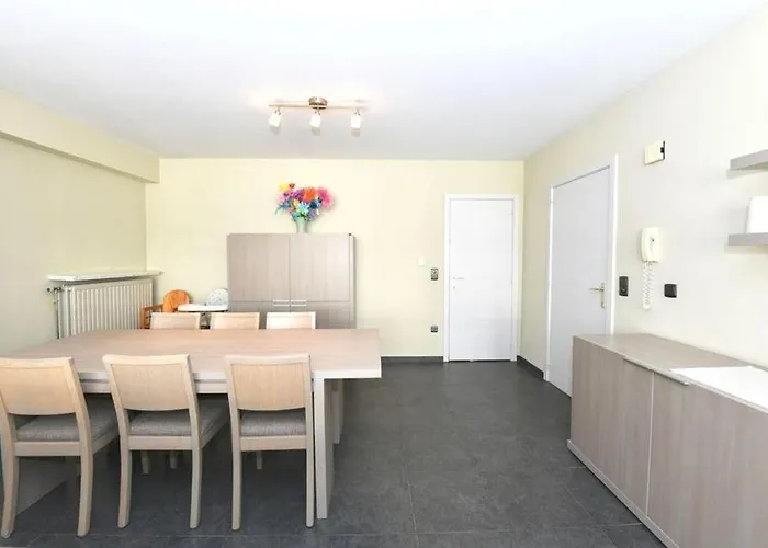 公寓 Zeetje 奥斯滕德